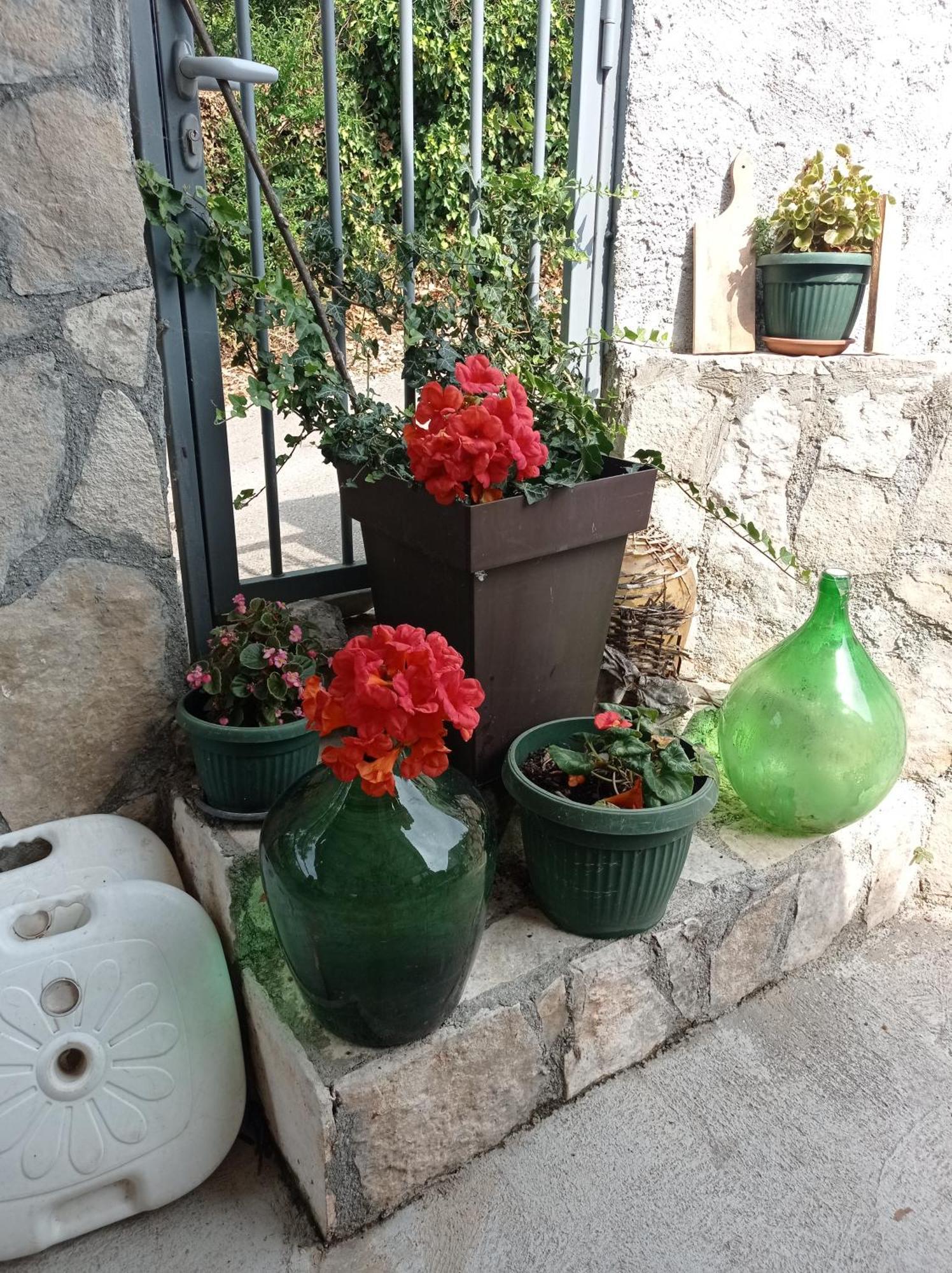 Apartments Nino Skadar Lake Virpazar Exterior photo