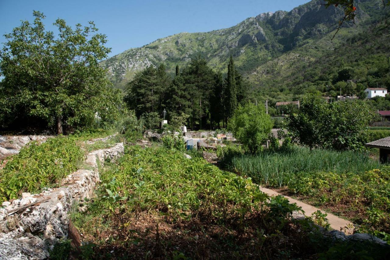 Apartments Nino Skadar Lake Virpazar Exterior photo